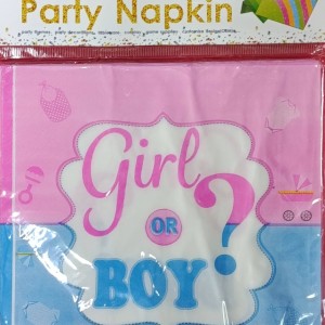 Boy or Girl Party Lunch Napkins 20ct