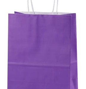 Paper Gift Bags Medium – Purple