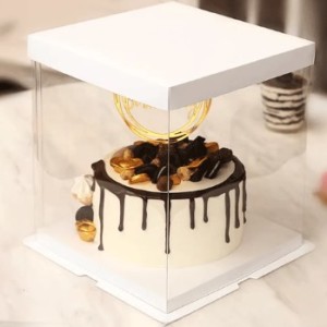 8″ Acrylic Cake Box – White