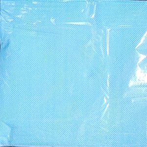 Lunch Napkins 20ct – Light Blue