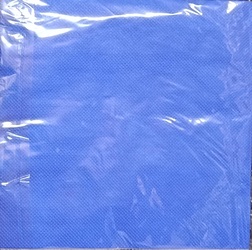 Lunch Napkins 20ct – Blue