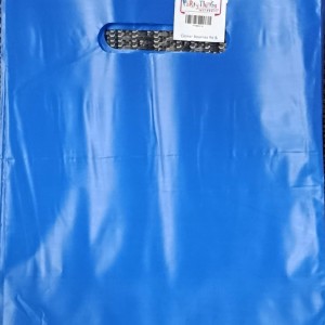 12ct Plastic Bags 8×10 – Blue