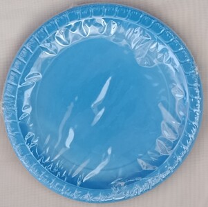 Plastic Lunch Plates 10ct – Light Blue