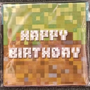 Minecraft Grass Block Lunch Napkins 20ct – Happy Birthday