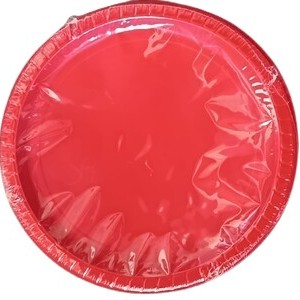 Plastic Lunch Plates 10ct – Red